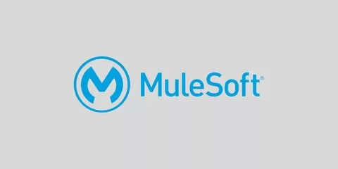 MuleSoft Architect Training